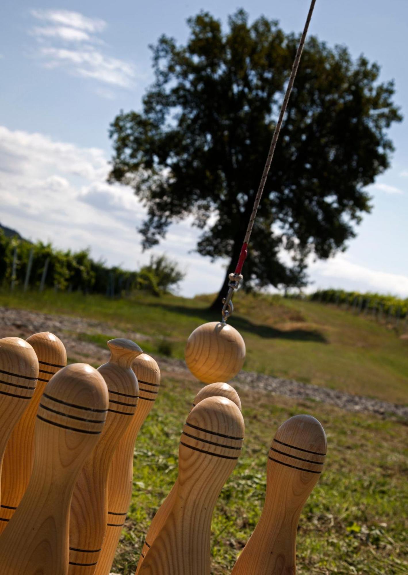 Stupnicki Dvori Winery Hotel Stupnik Brodski Buitenkant foto
