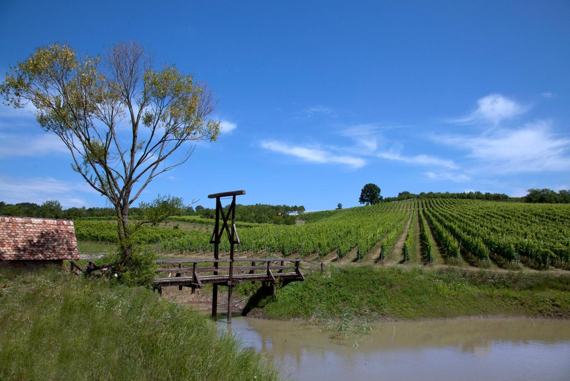 Stupnicki Dvori Winery Hotel Stupnik Brodski Buitenkant foto