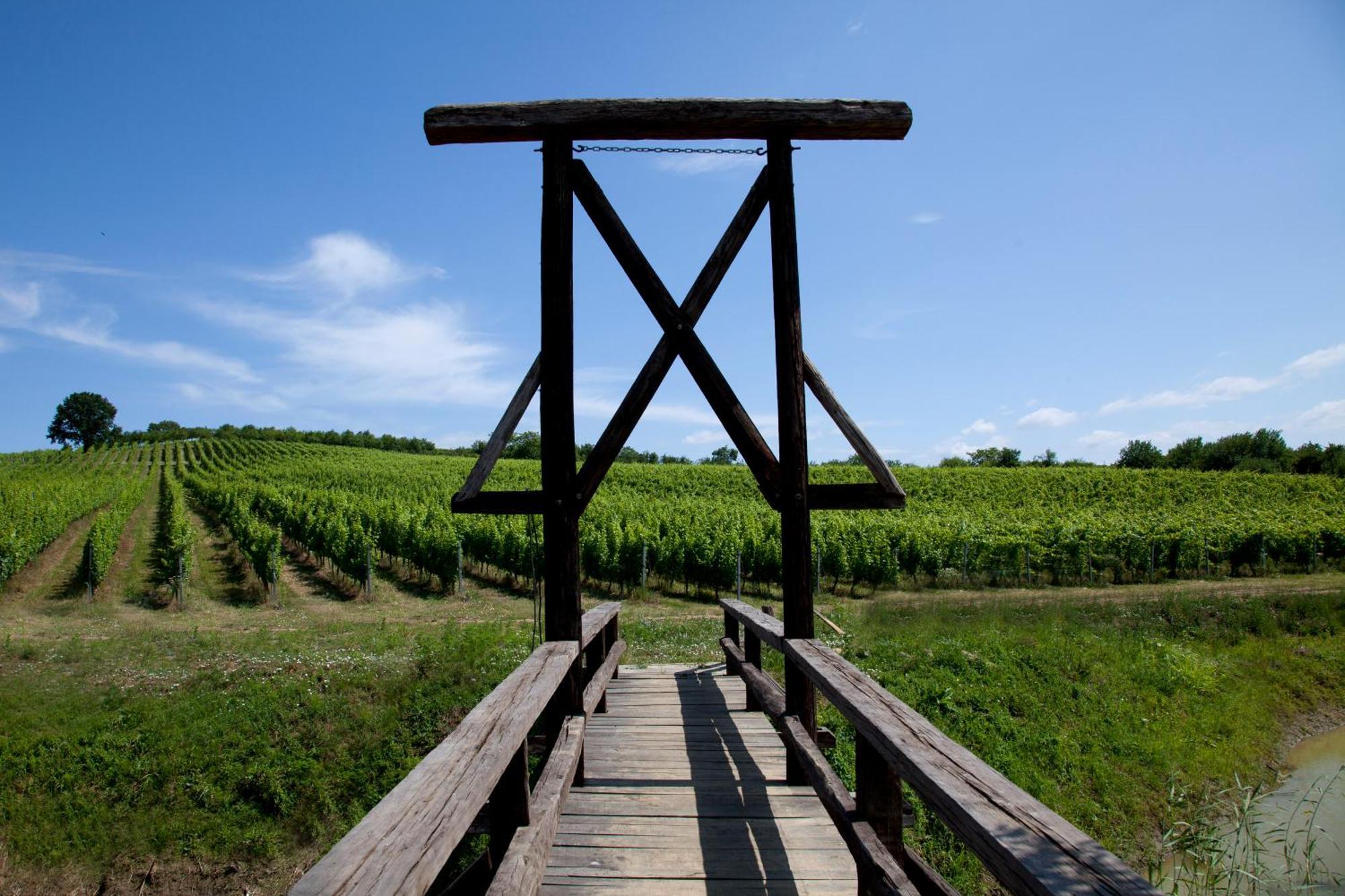 Stupnicki Dvori Winery Hotel Stupnik Brodski Buitenkant foto
