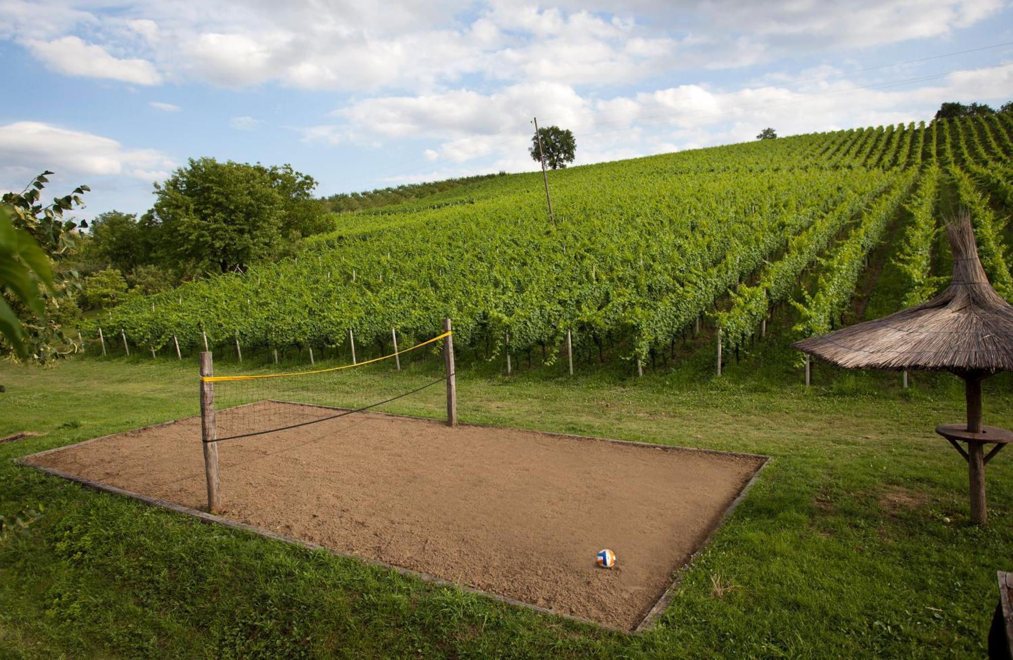 Stupnicki Dvori Winery Hotel Stupnik Brodski Buitenkant foto