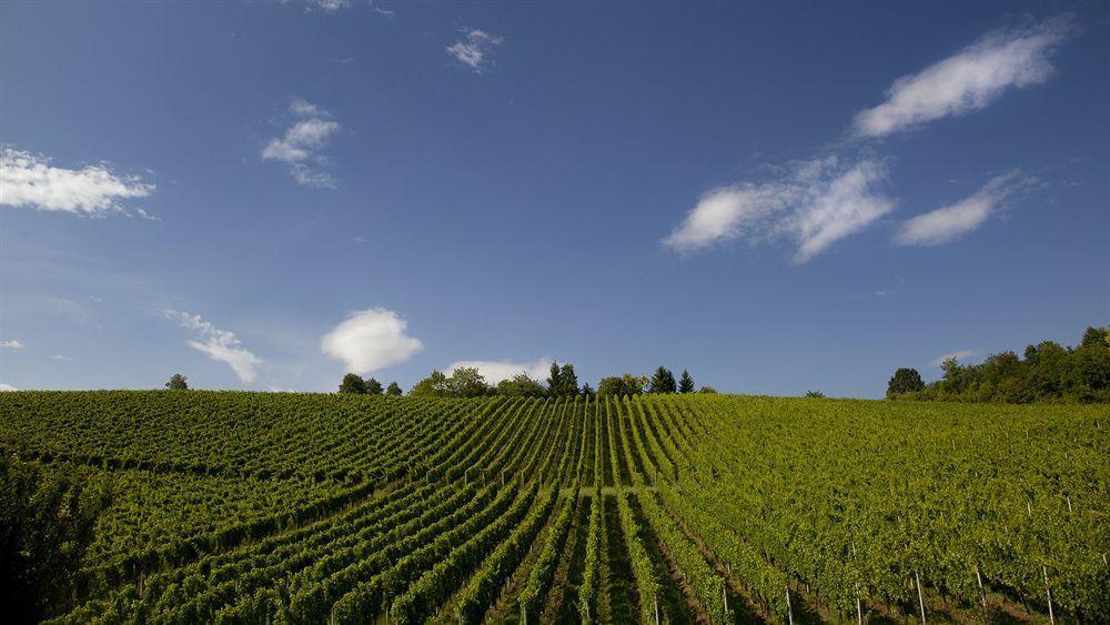 Stupnicki Dvori Winery Hotel Stupnik Brodski Buitenkant foto