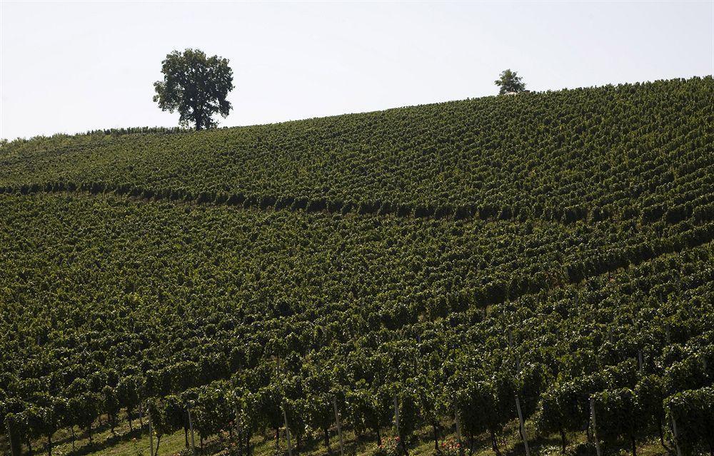 Stupnicki Dvori Winery Hotel Stupnik Brodski Buitenkant foto
