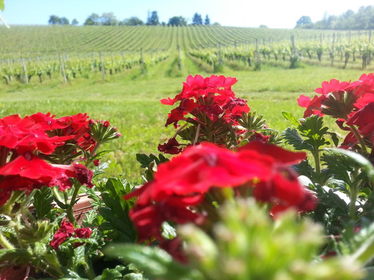 Stupnicki Dvori Winery Hotel Stupnik Brodski Buitenkant foto