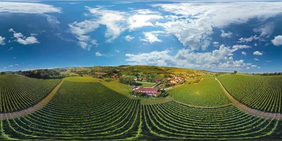 Stupnicki Dvori Winery Hotel Stupnik Brodski Buitenkant foto